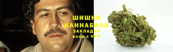 PSILOCYBIN Нефтегорск