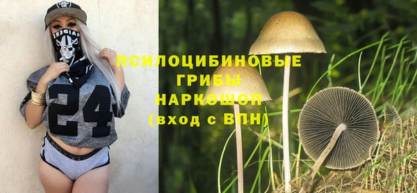 круглые Белокуриха