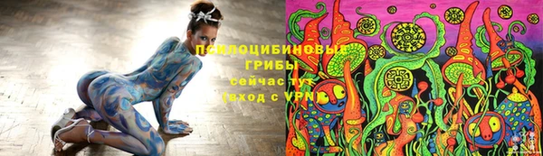 круглые Белокуриха