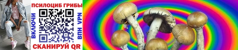 Галлюциногенные грибы MAGIC MUSHROOMS  Севск 